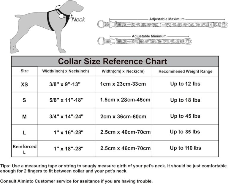 71OM7aMY1tL._AC_SL1500_ (3)