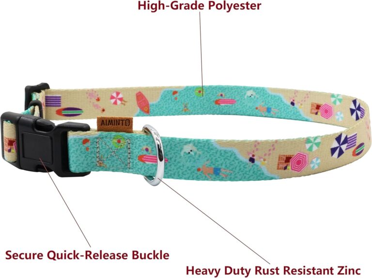 71cRztVY8kL._AC_SL1500_