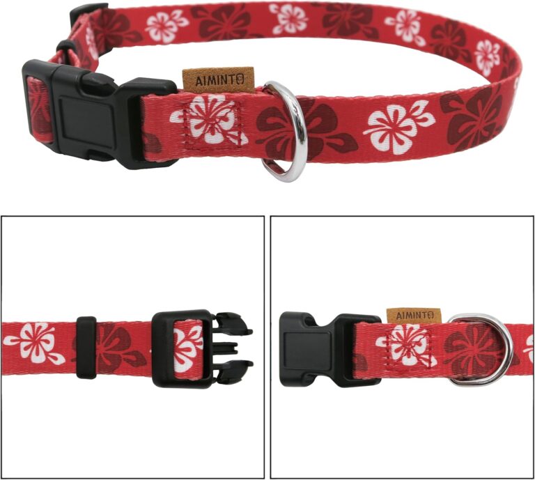 81LKVNp0XVL._AC_SL1500_