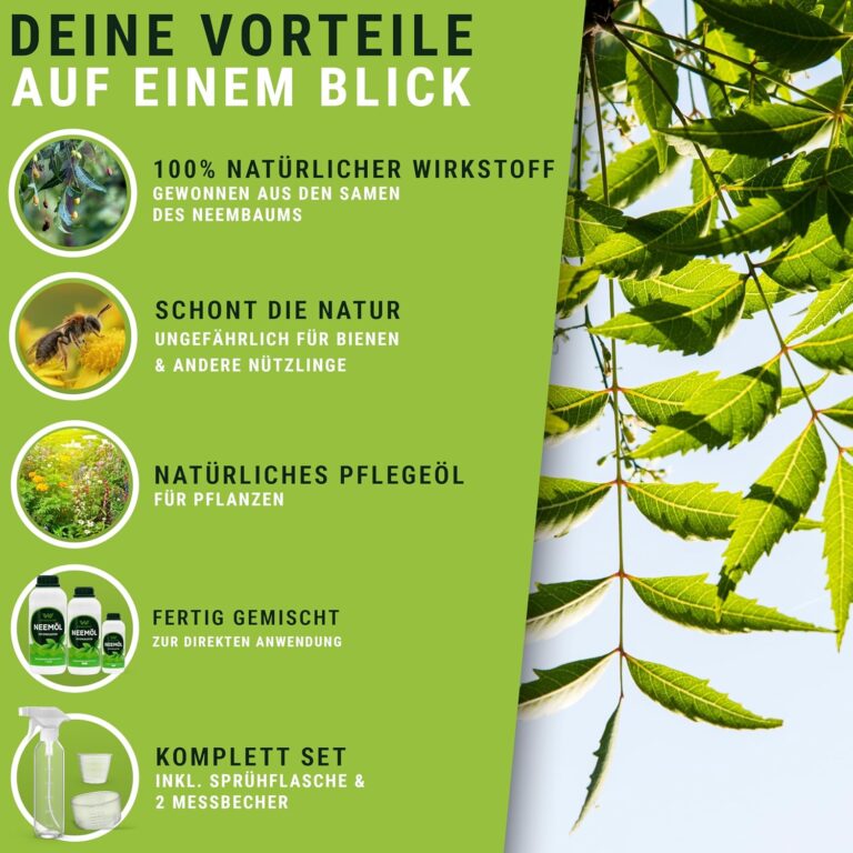 81O8yoPRWzL._AC_SL1500_