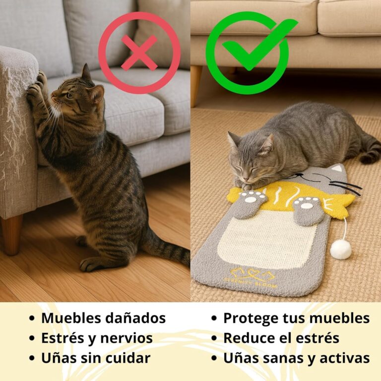 81sN7JN0fkL._AC_SL1500_