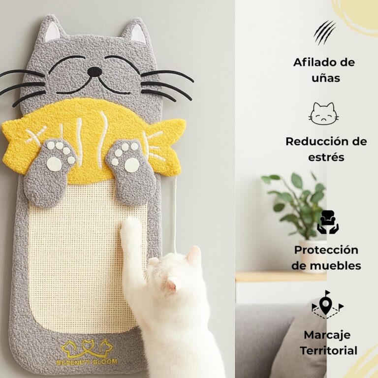 81s+YEepWzL._AC_SL1500_