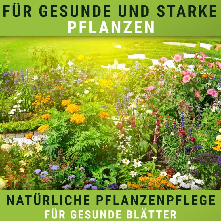 91f6LXUAGcL._AC_SL1500_